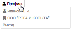 Информация о пользователе и организации пользователя (данные указаны)